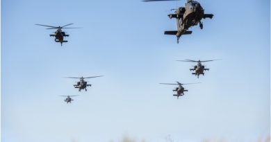 Helo uno