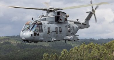 Helo en el aire