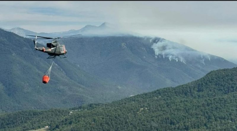 Cesta Helo