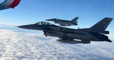 F 16 polacos