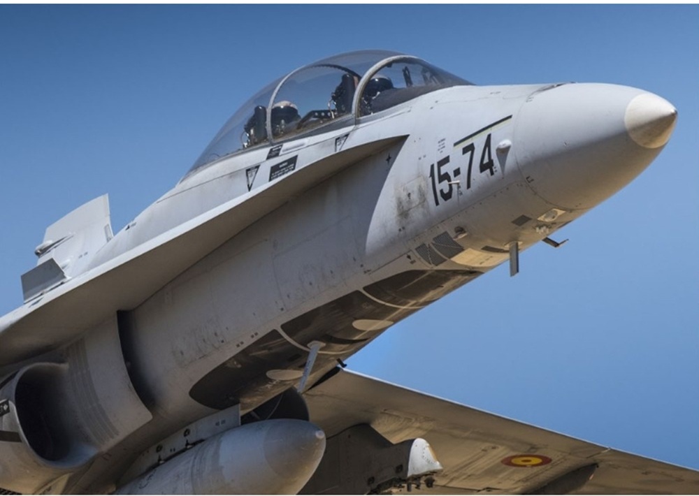 Hornet seis