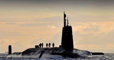 Sub nuclear