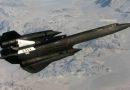 Blackbird