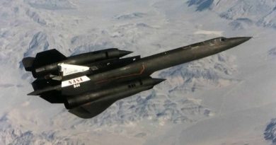 Blackbird