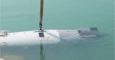 Dron naval
