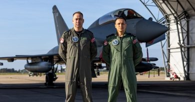 Pilotos turcos